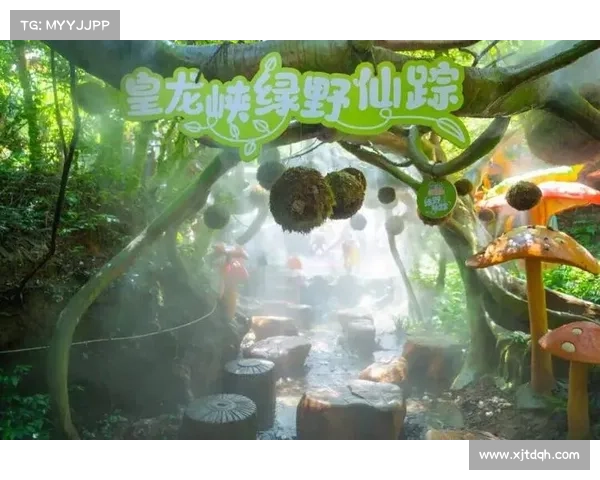 踏入神兽森林秘境开启古老传说中的五大奇幻探险之旅 踏入神兽森林秘境开启古老传说中的五大奇幻探险之旅