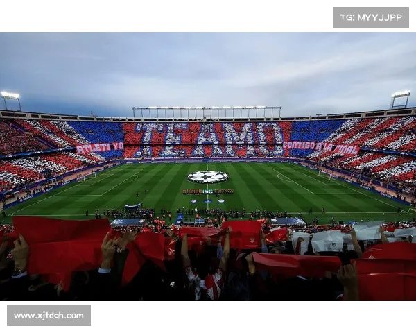 拜仁慕尼黑体育场名称的由来与常见问题解答